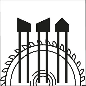 Kształty zębów – ząb przemienny/dachowy 