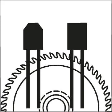 Kształty zębów - ząb trapezowy/płaski