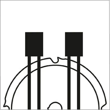 Kształty zębów – ząb płaski