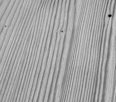 Powierzchnia po oszlifowaniu szczotką Rustilon z włosiem z tworzywa sztucznego.