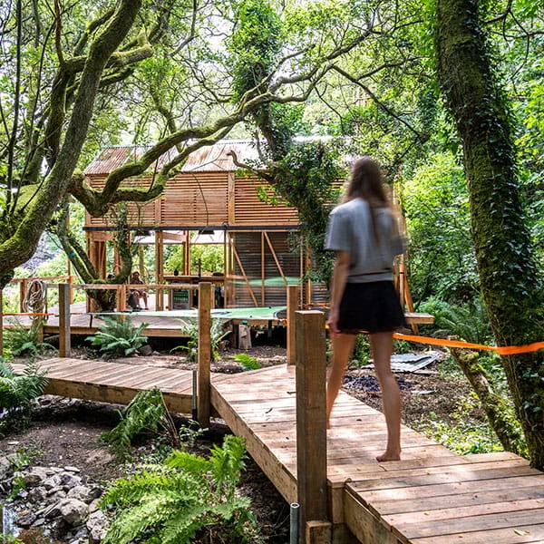 Pub pośród lasów Kornwalii