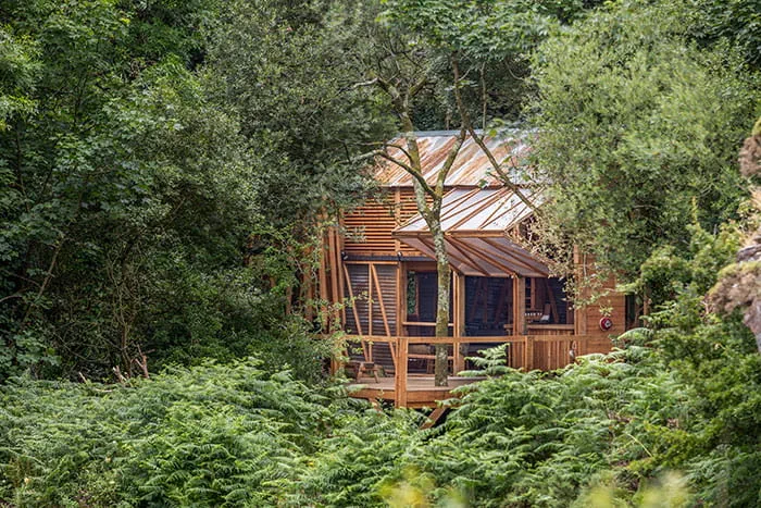 Pub pośród lasów Kornwalii